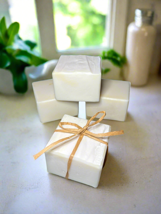 Solid Dish Soap Block