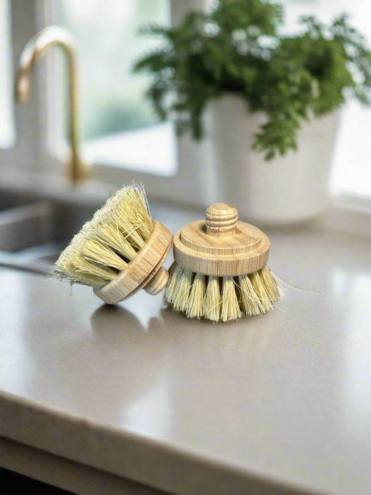 Replaced head for bamboo brush